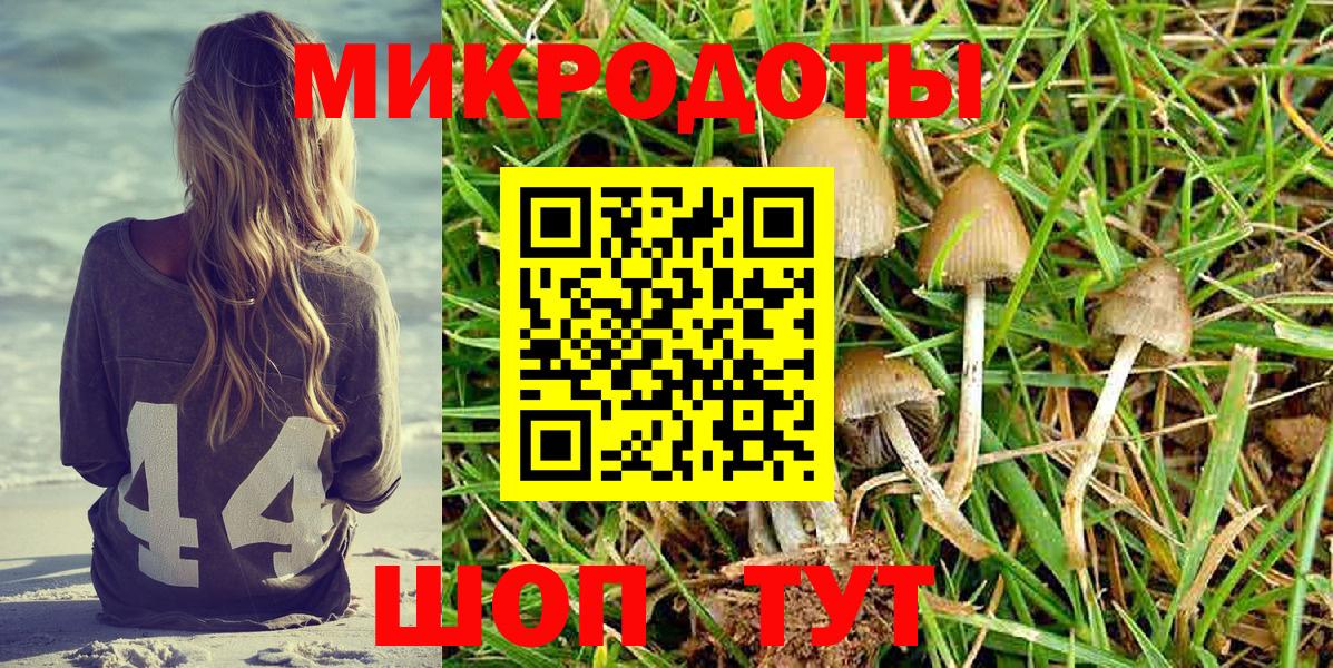Псилоцибиновые грибы Psilocybine cubensis  Вход с VPN  Братск 