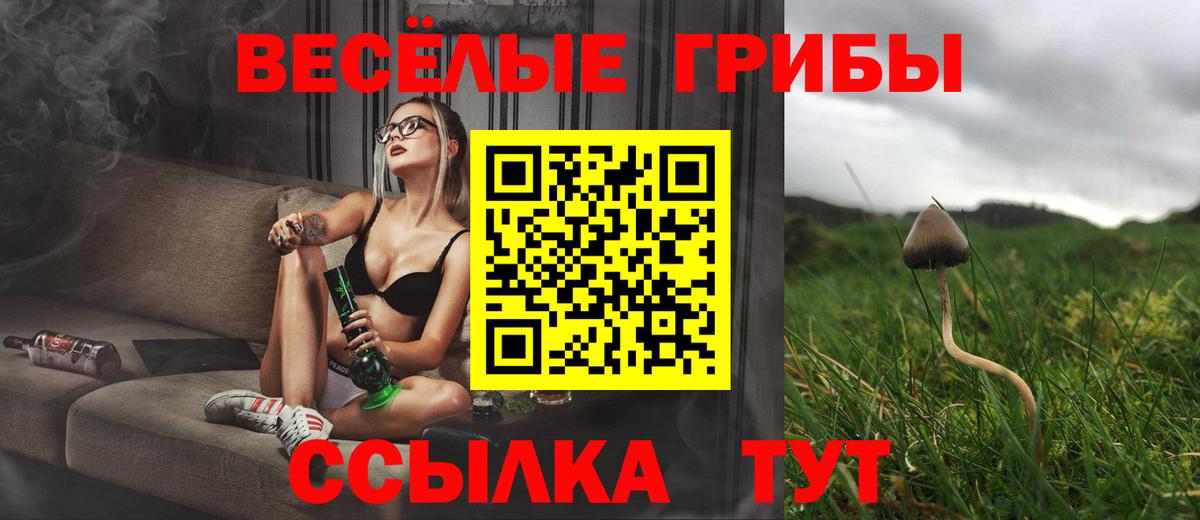 Галлюциногенные грибы мицелий Братск